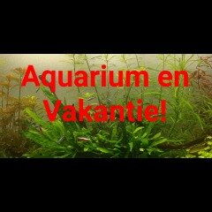 Aquarium vakantie blog